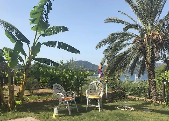 Gala Selimiye